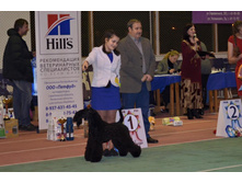 12728792 1989781784580264 8276170484732239877 n.jpg