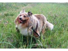 IMG 20160702 191607.jpg