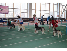 12733588 1989781991246910 379081550659190471 n.jpg