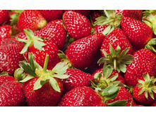 ��������� ������ 50���..jpg