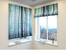 �������� �������.jpg