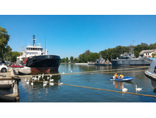 P 20160623 143532 HDR.jpg