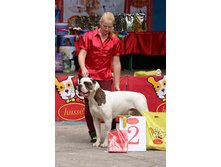 IMG 20160811 174316 2.jpg