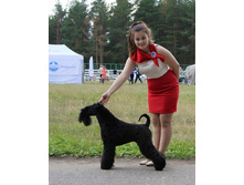 13590398 2081350245423417 2452704067807138871 n.jpg