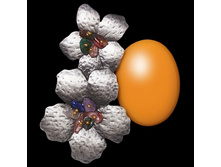 032890 ��������� 210.jpg