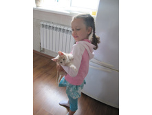 ������ 725.jpg