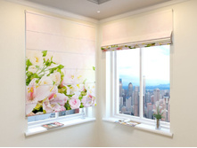 ������ �����.jpg