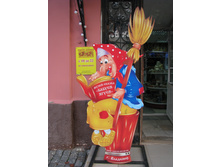 IMG 6655.JPG