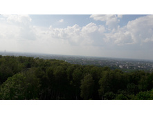 20160731 131737.jpg