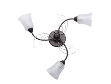 356017803 1600�.jpg