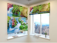 ������� ����.jpg