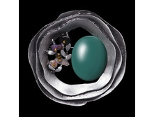 032912 ��������� 210.jpg