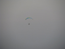 IMG 6647.JPG