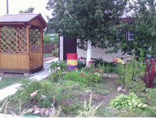 IMG 20160724 171017.jpg