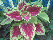 ����� 031.jpg