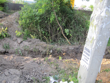 ������ 833.jpg