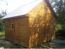 WP 000334.jpg