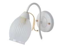 356027101 800�.jpg