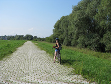 IMG 6546.JPG