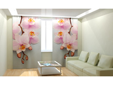 ������� �������.jpg