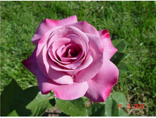 ���� ����.jpg