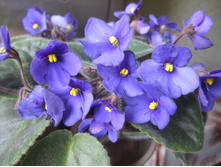 ���� 045.jpg