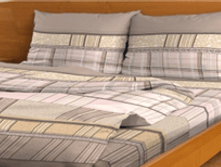 ������ ����������