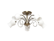 356014405 1900�.jpg