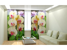 ������ �������.jpg