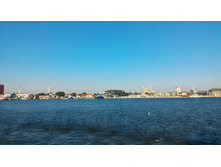 P 20160624 184429 HDR.jpg