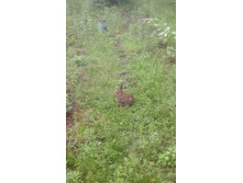 20160622 141644.jpg