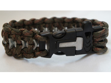 ������ ������ �������� ����� �������� ������. ������� �������� �� �������� ���������, �������� - ������� � �������, �������.