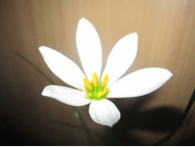 ���������� 003.jpg