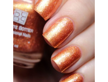 ������� ����� ��� Seashell SSH ��� 557 ������ (.jpg