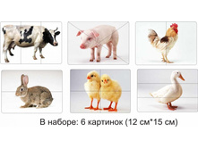 ��������� �������� "�������� ��������"_��� �012_264 ���.