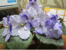 ���� 003.jpg