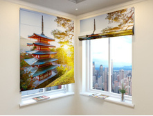 ��������� �����.jpg