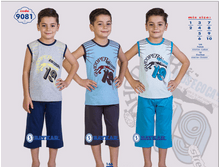 �������� 9081.png