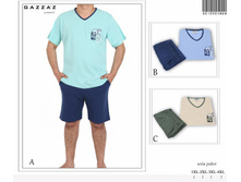 501020 4868 �������� � ������� ����� ���.JPG