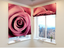 ��������� ����.jpg