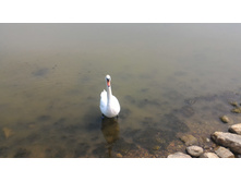 P 20160626 160429.jpg