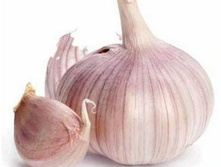 ������ ������ ���� ������������.jpg