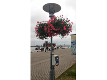 P 20160626 205602.jpg