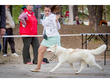 13151386 270586996614575 3369221533617592078 n.jpg