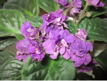 ���� 014.jpg