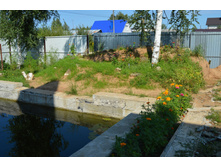 ����-1 18.08.16 (2).jpg