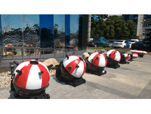 P 20160622 123823.jpg