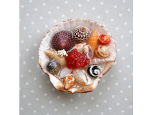 ����� �� �������