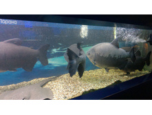 P 20160622 103149 DF.jpg