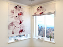 ������� �����.jpg